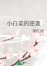 小白菜的逆袭