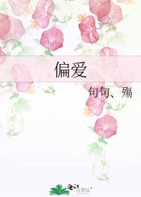 偏爱